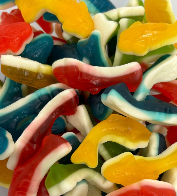 Gummy Sharks - Sweet Indulgence